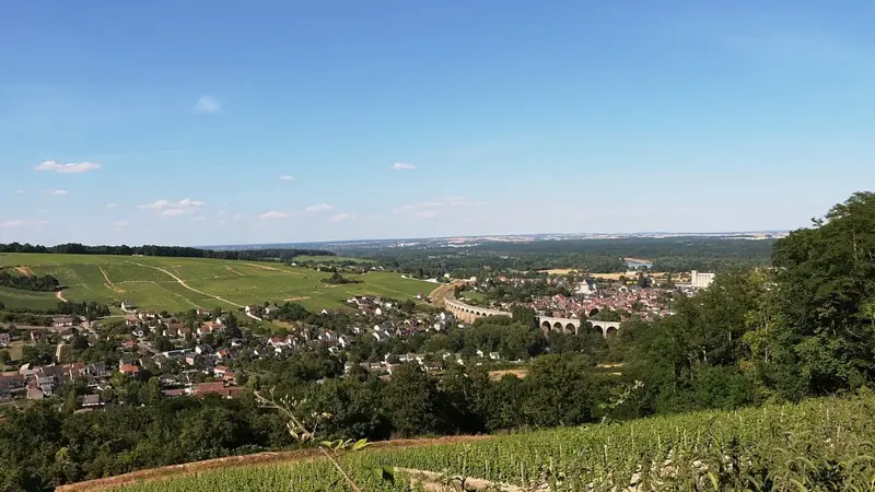 Vigneron en Val de Loire : vendre en ligne sans dépendre d'un intermédiaire