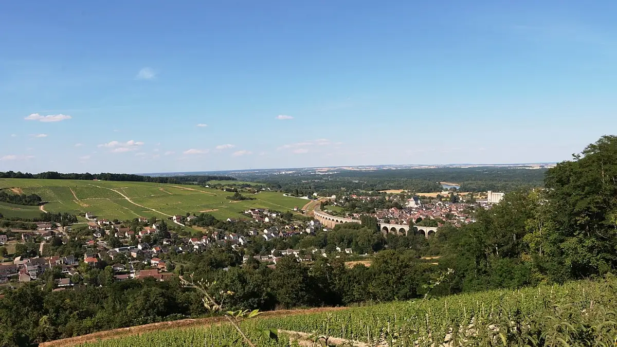 Vigneron en Val de Loire : vendre en ligne sans dépendre d'un intermédiaire